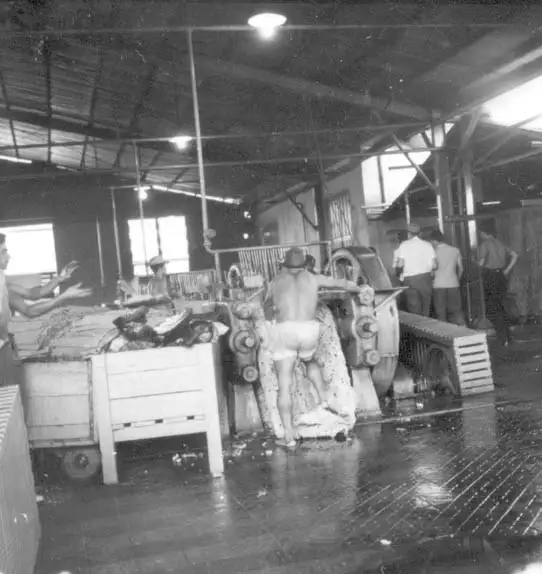 Foto 484: Vista do interior da fábrica Companhia Nacional de Borracha em Manaus (AM)