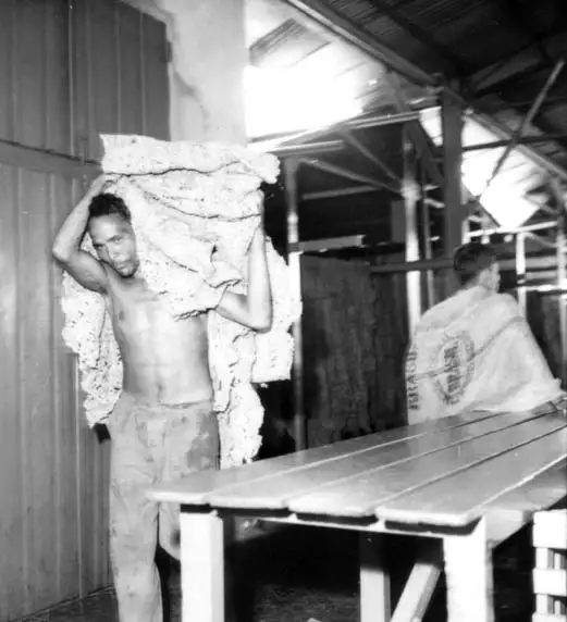 Foto 488: Carregando borracha para o depósito da Companhia Nacional de Borracha em Manaus (AM)