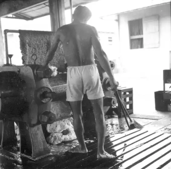 Foto 495: Operário na máquina da Companhia Nacional de Borracha S/A em Manaus (AM)