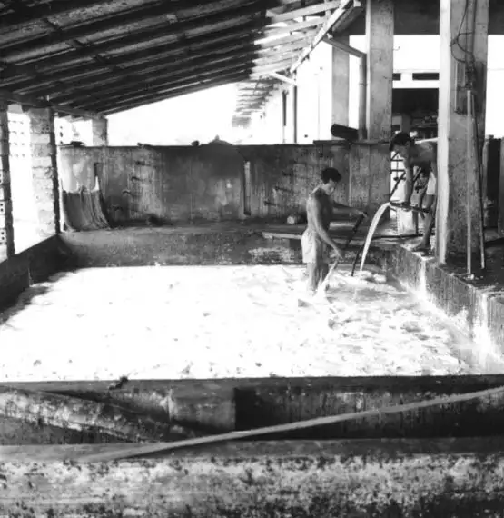 Foto 498: Tanque de preparação do latex vendo-se operário trabalhando na Companhia Nacional de Borracha S/A em Manaus (AM)