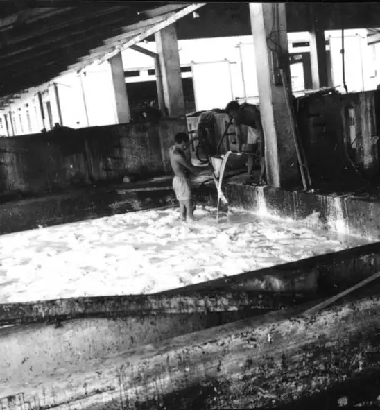 Foto 499: Tanque na preparação do latex vendo-se operário trabalhando na Companhia Nacional de Borracha em Manaus (AM)