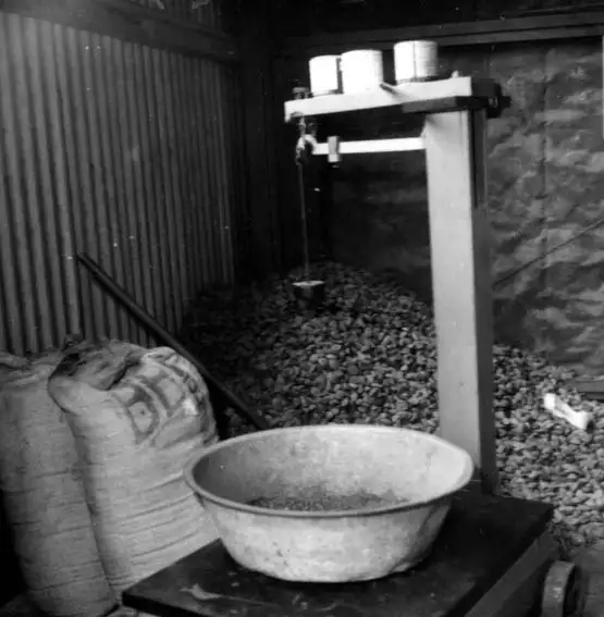 Foto 508: Balança, vasilha e sacos com castanhas em Manaus (AM)