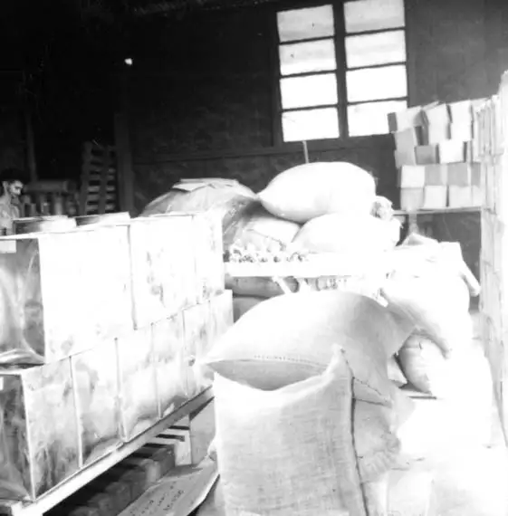 Foto 511: Déposito, vendo-se latas e sacos com castanhas em Manaus (AM)