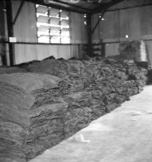 Foto 513: Depósito de borracha em lâminas em Manaus (AM)