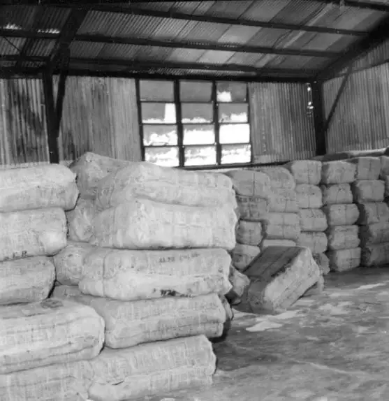 Foto 523: Depósito de fardos de borracha em Manaus (AM)