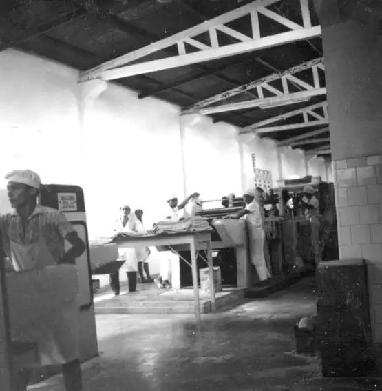 Foto 549: Fábrica de biscoitos Papaguara em Manaus (AM)