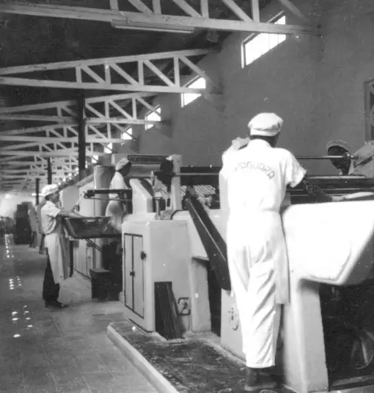 Foto 550: Fábrica de biscoitos Papaguara em Manaus (AM)