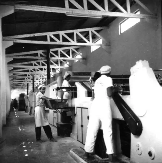 Foto 553: Fábrica de biscoitos Papaguara, vendo-se operário trabalhando, Manaus (AM)