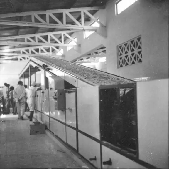 Foto 554: Fábrica de biscoitos Papaguara, vendo-se operários trabalhando, Manaus (AM)