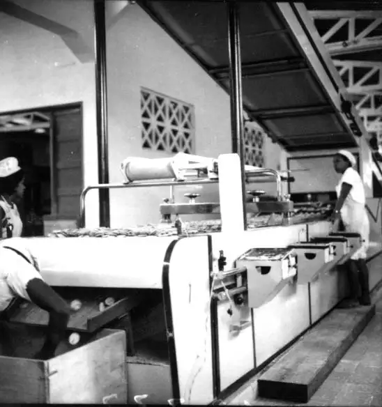 Foto 555: Máquinas modernas para fabricação de biscoitos da fábrica Papaguara em Manaus (AM)