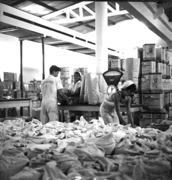 Foto 556: Empacotamento de biscoitos na fábrica Papaguara em Manaus (AM)