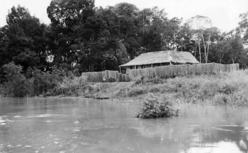 Foto 559: Casa de juteiro em Paraná- Xiborema em Manaus (AM)