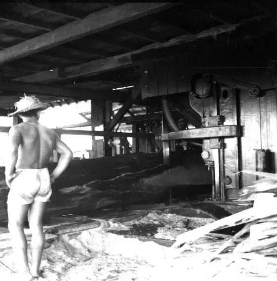 Foto 574: Trabalhadores na Serraria I.B. SABBA em Manaus (AM)