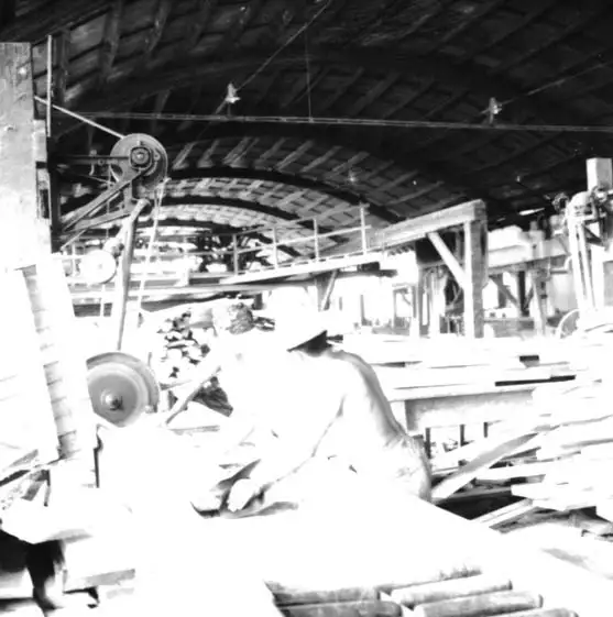 Foto 590: Interior da Serraria I.B. SABBA vendo-se trabalhadores em Manaus (AM)