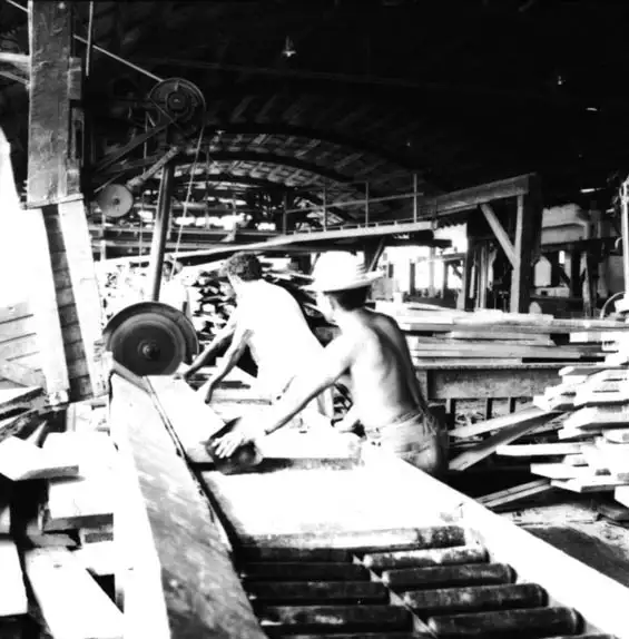 Foto 592: Interior da Serraria I.B. SABBA vendo-se trabalhadores em Manaus (AM)