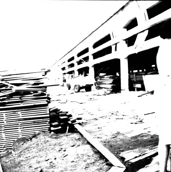Foto 599: Pilhas de madeira nos fundos da serraria em Manaus (AM)