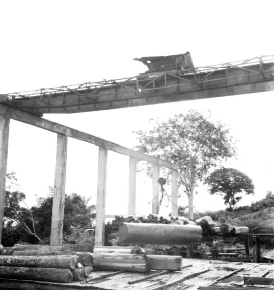 Foto 601: Compensa, toros de madeira carregado por guindaste em Manaus (AM)