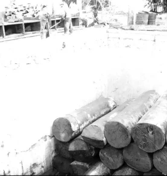 Foto 606: Toros de madeira empilhados ao fundo dos tanques em Manaus (AM)