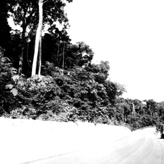 Foto 625: Estrada AM-U Km 624 em Manaus (AM)