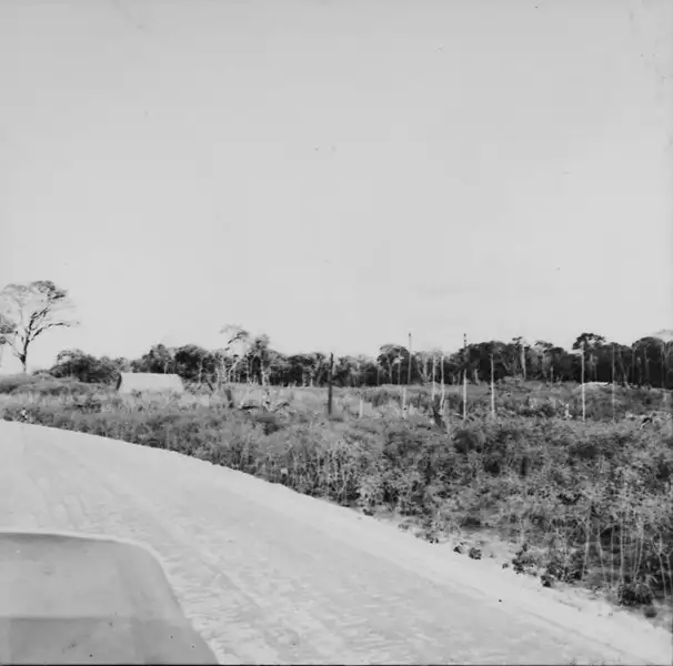 Foto 634: Vista da estrada AM-U vendo-se casa de caboclo em Manaus (AM)