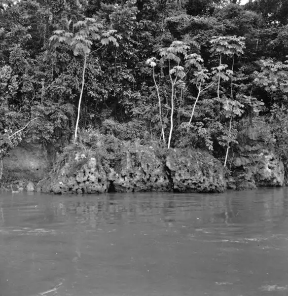 Foto 681: Laterito na margem do Rio Amazonas (AM)
