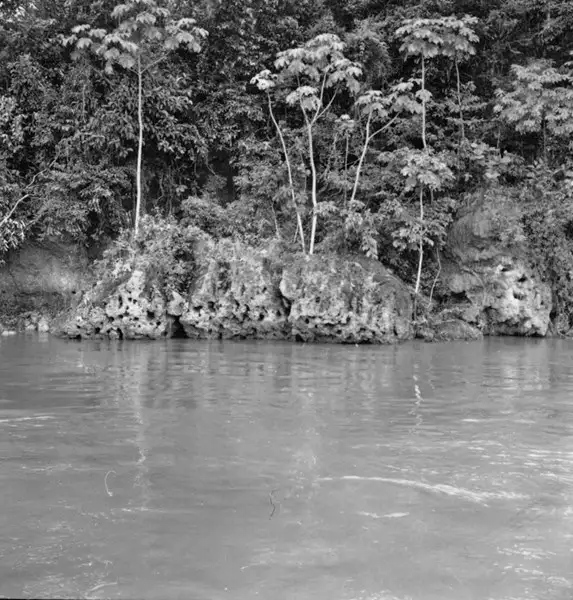 Foto 682: Laterito na margem do Rio Amazonas (AM)
