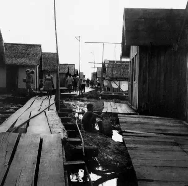 Foto 714: Rua de madeira na cidade flutuante em Manaus (AM)