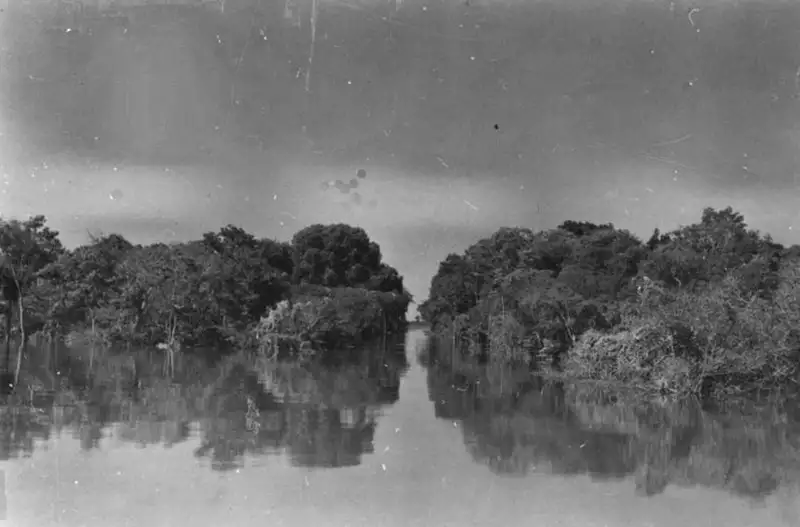 Foto 858: Furo Paracuúmba no Rio Negro perto de Manaus (AM)