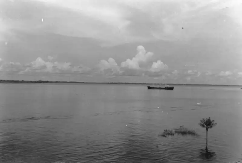 Foto 874: Vista do Rio Amazonas perto de Manaus, vendo-se navio (AM)