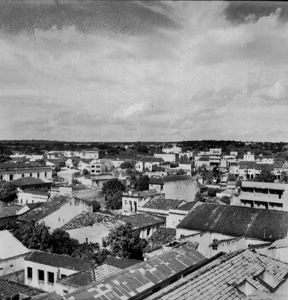 Foto 927: Vista parcial de Manaus (AM)