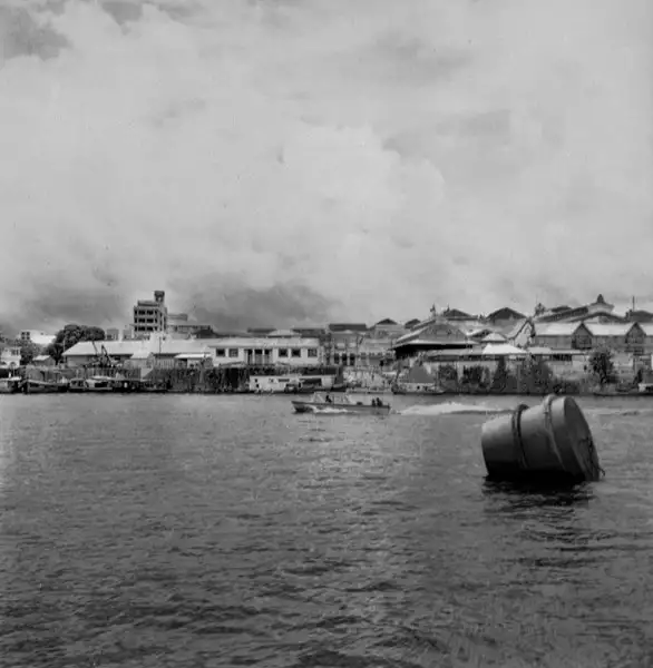Foto 954: Vista do Porto de Manaus (AM)
