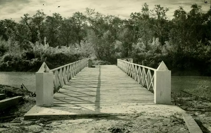 Foto 19: Ponte sobre o Rio Araguari : Amapá, AP