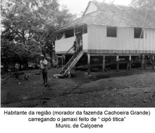 Foto 5: Habitante da região, morador da Fazenda Cachoeira Grande, carregando jamixi de cipó titicá : Município de Calçoene