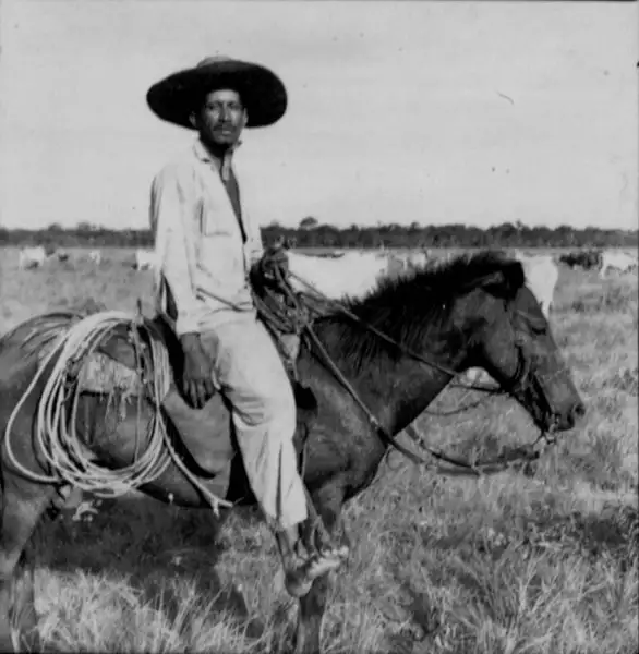 Foto 114: Vaqueiro dos campos amapaenses, Amapá (AP)