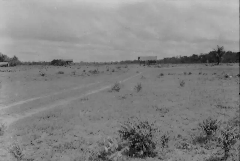 Foto 157: Povoamento disperso nucleado, campos firmes em Macapá (AP)