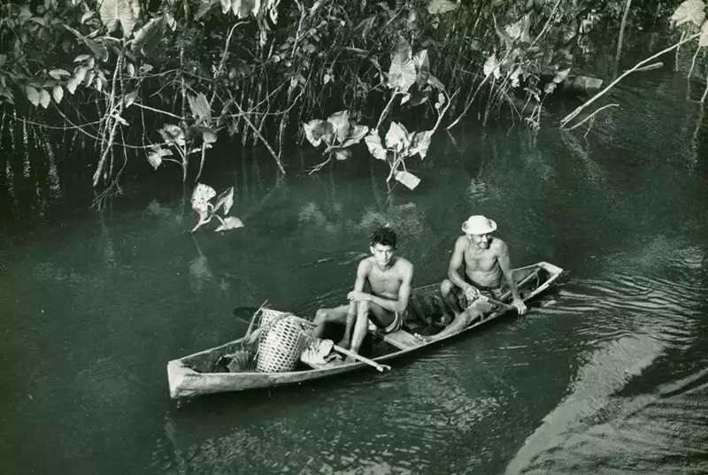 Foto 8: Moradores recolhendo castanhas de andiroba no Rio Mazagão : Mazagão, AP
