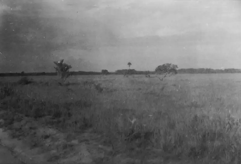 Foto 14: Campos tipo savana, logo após a cidade de Calçoene no Município de Oiapoque (AP)