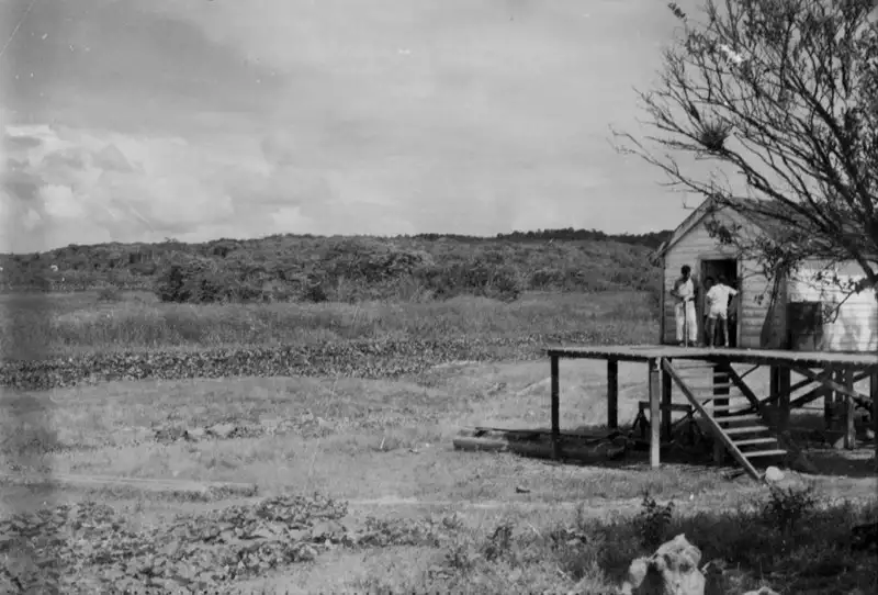 Foto 19: Panorâmica da região de Curupi, posto do S.P.I. aldeia dos Caripunas no Município de Oiapoque (AP)