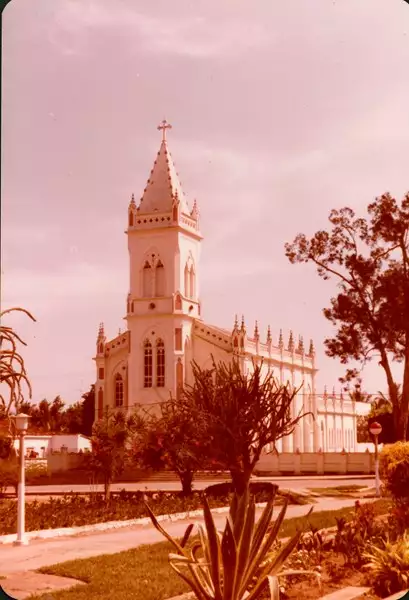 Foto 14: Catedral de Nossa Senhora do Bom Conselho : Amargosa, BA