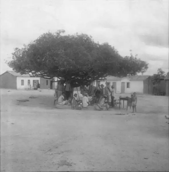 Foto 25: Açougue ao ar livre no povoado Salaminho : município de Jacobina