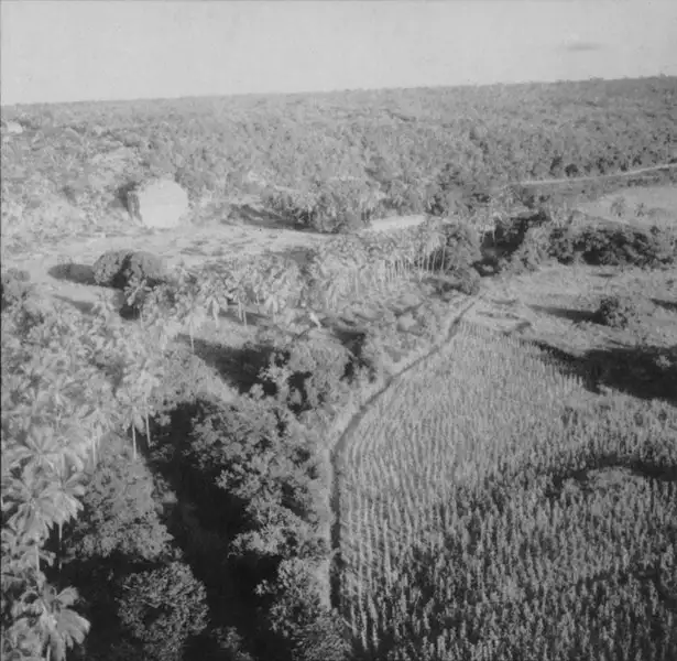 Foto 6: Vista aérea das plantações na cidade de Utinga (BA)