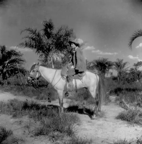 Foto 25: Vaqueiro no quadro da paisagem em Utinga (BA)