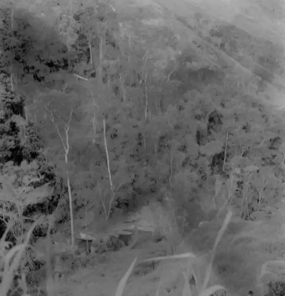 Foto 52: Vegetação na Serra do Marçal em Vitória da Conquista (BA)