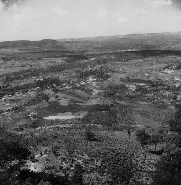 Foto 31: Plantações no Vale do Cariri na Vila de Lameiro na cidade do Crato (CE)