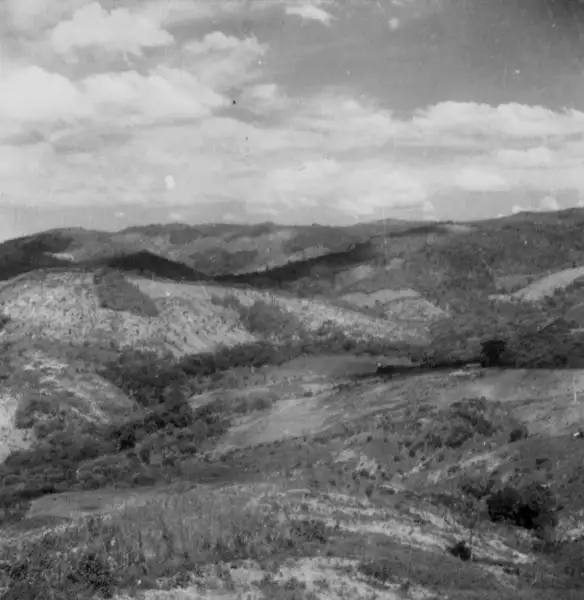 Foto 45: Vale do Cariri em Caririaçu (CE)