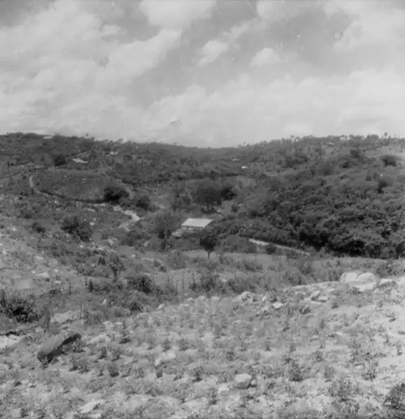 Foto 16: Plantações em Caririaçu (CE)