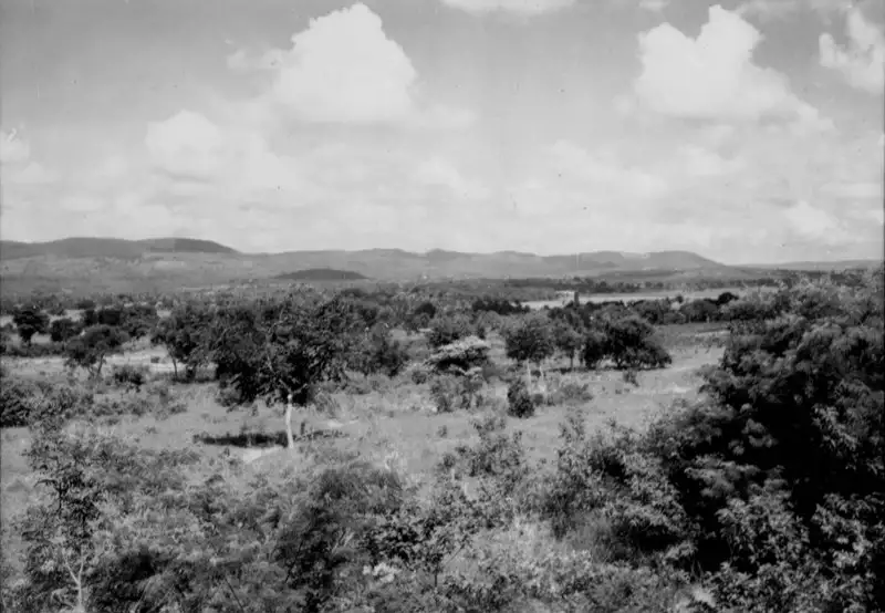 Foto 23: Vegetação em Caririaçu (CE)