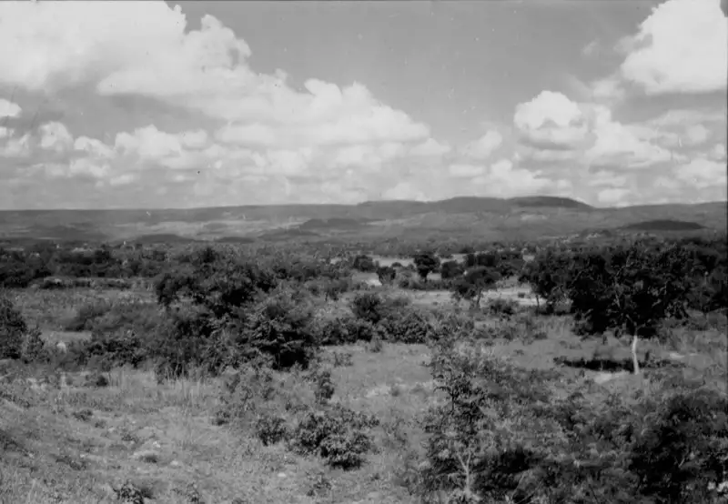 Foto 34: Vegetação em Caririaçu (CE)