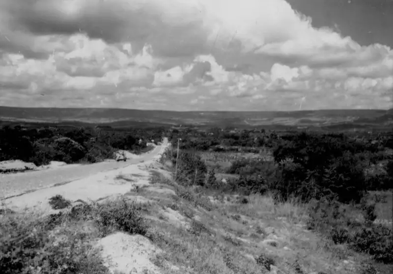 Foto 43: Vegetação na margem da estrada que vai para Juazeiro do Norte em Caririaçu (CE)