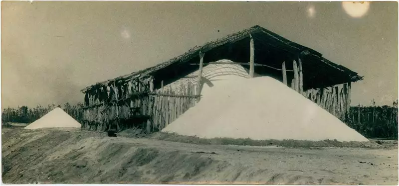 Foto 4: Galpão para sal : Caucaia, CE